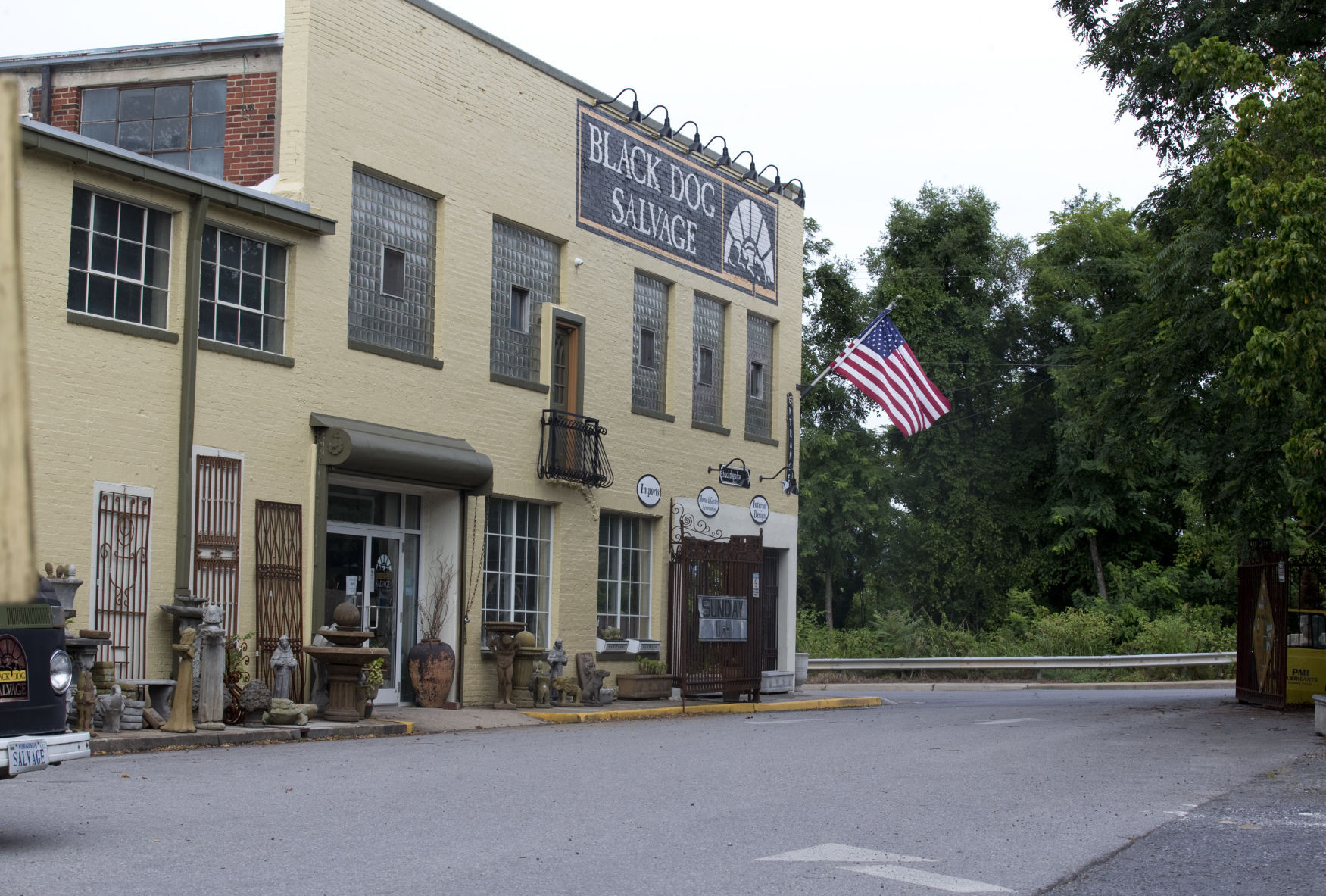 Black Dog Salvage